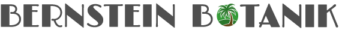 XXL Palmen Logo